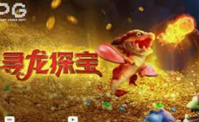 壹号平台app电脑免费版